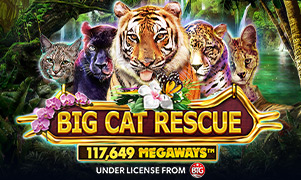 vp777 Big Cat Rescue Megaways